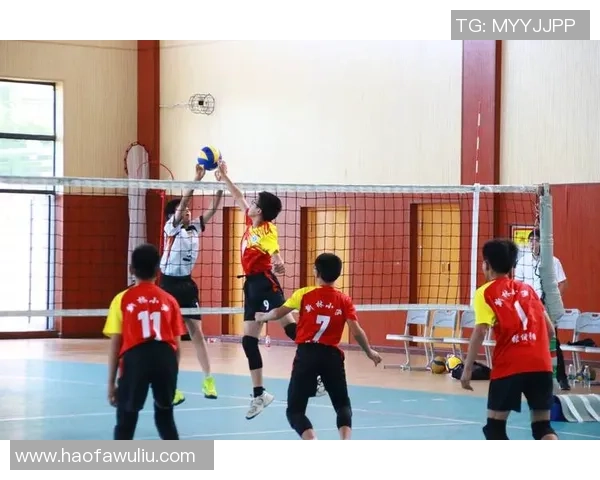 排球焦点：重庆排球队的节奏探讨